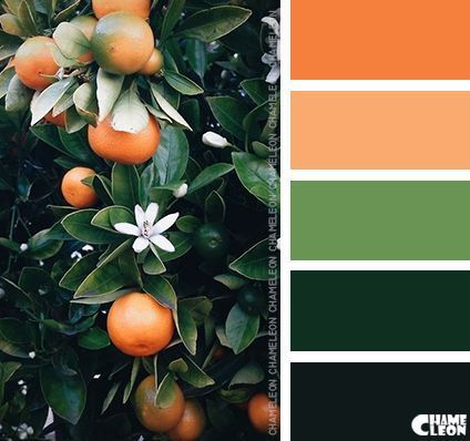 palette colori matrimonio tema sicilia arancione